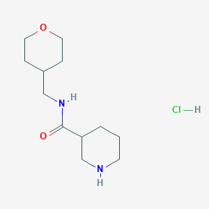 molecular formula C12H23ClN2O2 B1424043 N-(Tetrahydro-2H-pyran-4-ylmethyl)-3-piperidinecarboxamide hydrochloride CAS No. 1220029-99-1