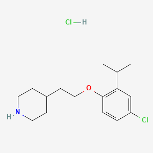 molecular formula C16H25Cl2NO B1424047 盐酸 4-[2-(4-氯-2-异丙基苯氧基)乙基]-哌啶 CAS No. 1219956-92-9