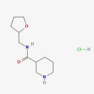 molecular formula C11H21ClN2O2 B1424067 N-(Tetrahydro-2-furanylmethyl)-3-piperidinecarboxamide hydrochloride CAS No. 1220037-76-2