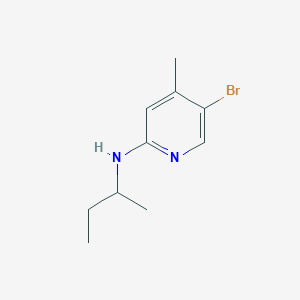 molecular formula C10H15BrN2 B1424074 N-(5-溴-4-甲基-2-吡啶基)-N-(仲丁基)胺 CAS No. 1220027-74-6