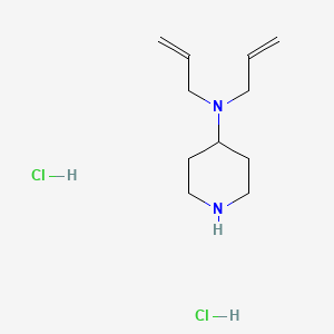molecular formula C11H22Cl2N2 B1424094 二盐酸 N,N-二烯丙基-4-哌啶胺 CAS No. 1219979-80-2