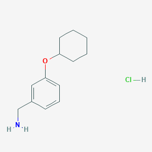 molecular formula C13H20ClNO B1424430 [3-(Cyclohexyloxy)phenyl]methanamine hydrochloride CAS No. 1311315-68-0