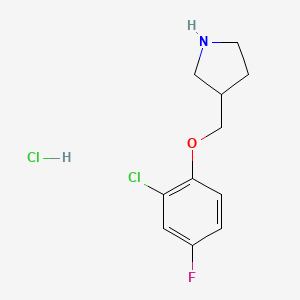 molecular formula C11H14Cl2FNO B1424527 2-氯-4-氟苯基-3-吡咯烷基甲基醚盐酸盐 CAS No. 1219949-18-4