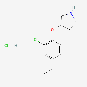 molecular formula C12H17Cl2NO B1424529 3-(2-Chloro-4-ethylphenoxy)pyrrolidine hydrochloride CAS No. 1219977-21-5
