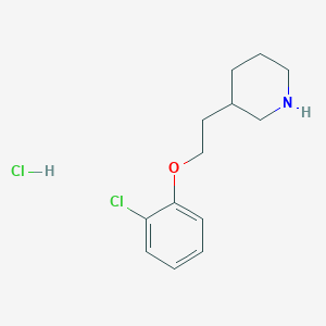 molecular formula C13H19Cl2NO B1424546 盐酸 3-[2-(2-氯苯氧基)乙基]哌啶 CAS No. 1018446-72-4
