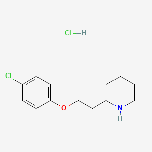 molecular formula C13H19Cl2NO B1424550 2-[2-(4-氯苯氧基)乙基]哌啶盐酸盐 CAS No. 72834-31-2