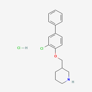 3-Chloro[1,1'-biphenyl]-4-yl 3-piperidinylmethyl ether hydrochloride