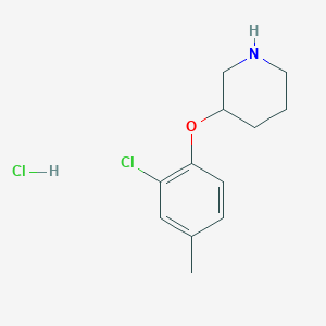 molecular formula C12H17Cl2NO B1424565 3-(2-Chloro-4-methylphenoxy)piperidine hydrochloride CAS No. 1220035-68-6