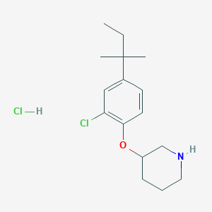 molecular formula C16H25Cl2NO B1424567 3-[2-Chloro-4-(tert-pentyl)phenoxy]piperidine hydrochloride CAS No. 1220035-94-8