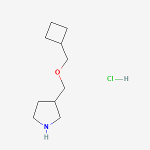 molecular formula C10H20ClNO B1424575 Cyclobutylmethyl 3-pyrrolidinylmethyl ether hydrochloride CAS No. 1220032-61-0