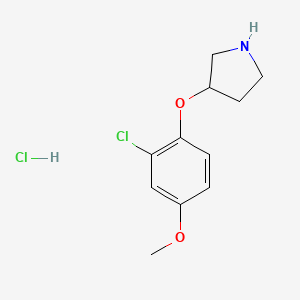 2-Chloro-4-methoxyphenyl 3-pyrrolidinyl ether hydrochloride