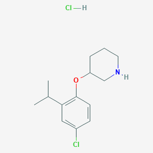molecular formula C14H21Cl2NO B1424577 3-(4-Chloro-2-isopropylphenoxy)piperidine hydrochloride CAS No. 1220032-85-8