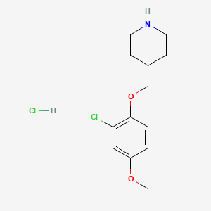molecular formula C13H19Cl2NO2 B1424578 4-[(2-Chloro-4-methoxyphenoxy)methyl]piperidine hydrochloride CAS No. 1220035-87-9
