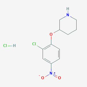3-(2-Chloro-4-nitrophenoxy)piperidine hydrochloride