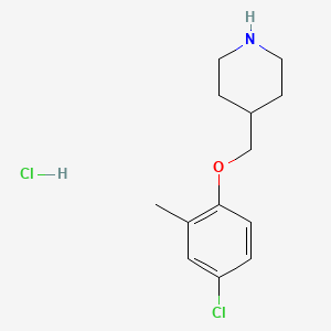molecular formula C13H19Cl2NO B1424581 4-氯-2-甲基苯基 4-哌啶基甲基醚盐酸盐 CAS No. 1219972-69-6