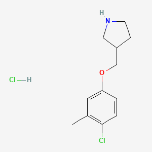 4-Chloro-3-methylphenyl 3-pyrrolidinylmethyl ether hydrochloride