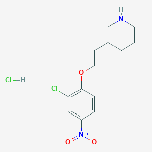 3-[2-(2-Chloro-4-nitrophenoxy)ethyl]piperidine hydrochloride