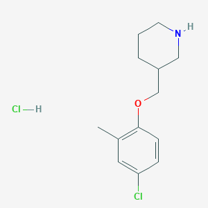 molecular formula C13H19Cl2NO B1424596 4-Chloro-2-methylphenyl 3-piperidinylmethyl ether hydrochloride CAS No. 1220030-51-2