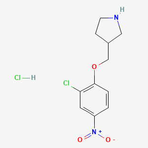 3-[(2-Chloro-4-nitrophenoxy)methyl]pyrrolidine hydrochloride