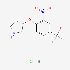 molecular formula C11H12ClF3N2O3 B1424599 3-[2-Nitro-4-(trifluoromethyl)phenoxy]pyrrolidine hydrochloride CAS No. 1220037-11-5