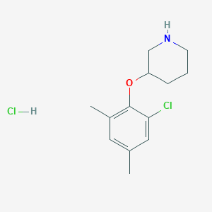 molecular formula C13H19Cl2NO B1424606 3-(2-氯-4,6-二甲基苯氧基)哌啶盐酸盐 CAS No. 1220019-43-1