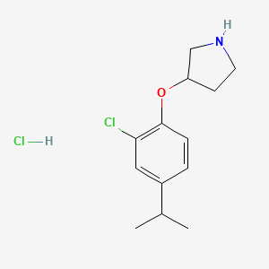 3-(2-Chloro-4-isopropylphenoxy)pyrrolidine hydrochloride
