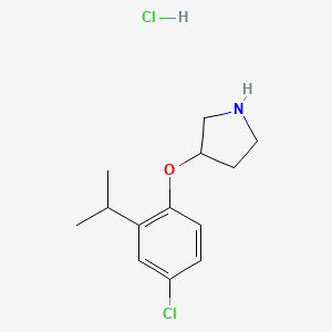 molecular formula C13H19Cl2NO B1424610 3-(4-Chloro-2-isopropylphenoxy)pyrrolidine hydrochloride CAS No. 1220027-79-1