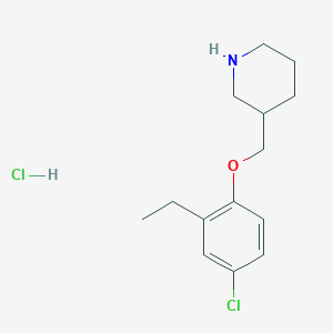 3-[(4-Chloro-2-ethylphenoxy)methyl]piperidine hydrochloride