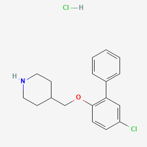 5-Chloro[1,1'-biphenyl]-2-yl 4-piperidinylmethyl ether hydrochloride