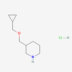 molecular formula C10H20ClNO B1424615 3-((Cyclopropylmethoxy)methyl)piperidine hydrochloride CAS No. 1219976-71-2