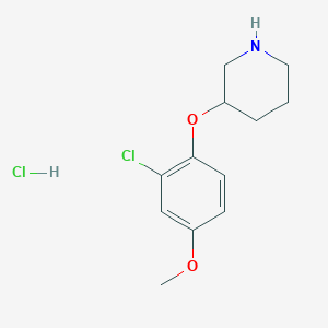 2-Chloro-4-methoxyphenyl 3-piperidinyl ether hydrochloride