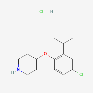 4-(4-Chloro-2-isopropylphenoxy)piperidine hydrochloride