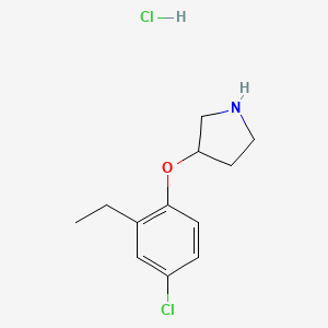 molecular formula C12H17Cl2NO B1424623 3-(4-Chloro-2-ethylphenoxy)pyrrolidine hydrochloride CAS No. 1220028-07-8