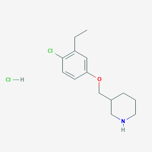 molecular formula C14H21Cl2NO B1424625 3-[(4-Chloro-3-ethylphenoxy)methyl]piperidine hydrochloride CAS No. 1220036-62-3