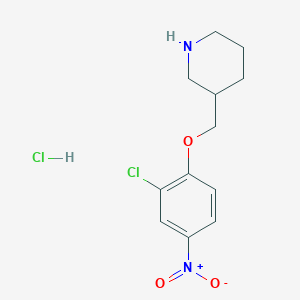 molecular formula C12H16Cl2N2O3 B1424627 3-[(2-Chloro-4-nitrophenoxy)methyl]piperidine hydrochloride CAS No. 1219979-24-4