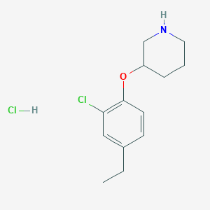 molecular formula C13H19Cl2NO B1424630 3-(2-氯-4-乙基苯氧基)哌啶盐酸盐 CAS No. 1220018-67-6
