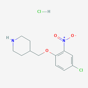 4-[(4-Chloro-2-nitrophenoxy)methyl]piperidine hydrochloride