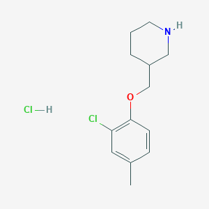 molecular formula C13H19Cl2NO B1424632 2-Chloro-4-methylphenyl 3-piperidinylmethyl ether hydrochloride CAS No. 1220027-72-4