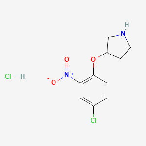 molecular formula C10H12Cl2N2O3 B1424633 3-(4-クロロ-2-ニトロフェノキシ)ピロリジン塩酸塩 CAS No. 1219976-20-1