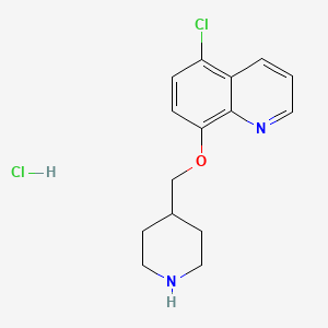molecular formula C15H18Cl2N2O B1424634 5-Chloro-8-(4-piperidinylmethoxy)quinoline hydrochloride CAS No. 1219979-78-8