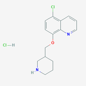 molecular formula C15H18Cl2N2O B1424635 5-Chloro-8-(3-piperidinylmethoxy)quinoline hydrochloride CAS No. 1220036-45-2