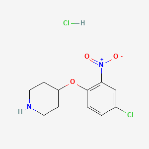 molecular formula C11H14Cl2N2O3 B1424636 4-(4-Chloro-2-nitrophenoxy)piperidine hydrochloride CAS No. 1220020-85-8