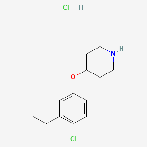 molecular formula C13H19Cl2NO B1424637 4-(4-Chloro-3-ethylphenoxy)piperidine hydrochloride CAS No. 1220036-59-8