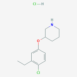 3-(4-Chloro-3-ethylphenoxy)piperidine hydrochloride