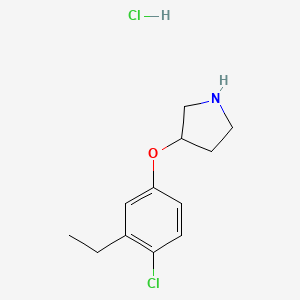 molecular formula C12H17Cl2NO B1424639 3-(4-氯-3-乙基苯氧基)吡咯烷盐酸盐 CAS No. 1220033-01-1