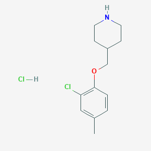 molecular formula C13H19Cl2NO B1424643 2-氯-4-甲基苯基 4-哌啶基甲基醚盐酸盐 CAS No. 1220035-79-9