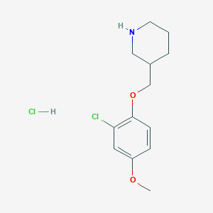 molecular formula C13H19Cl2NO2 B1424644 3-[(2-Chloro-4-methoxyphenoxy)methyl]piperidine hydrochloride CAS No. 1220020-27-8
