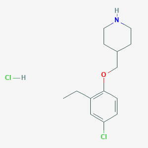 4-[(4-Chloro-2-ethylphenoxy)methyl]piperidine hydrochloride