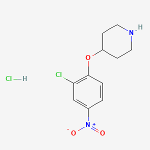 molecular formula C11H14Cl2N2O3 B1424649 4-(2-クロロ-4-ニトロフェノキシ)ピペリジン塩酸塩 CAS No. 1220037-73-9