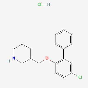 molecular formula C18H21Cl2NO B1424651 5-Chloro[1,1'-biphenyl]-2-yl 3-piperidinylmethyl ether hydrochloride CAS No. 1219972-21-0